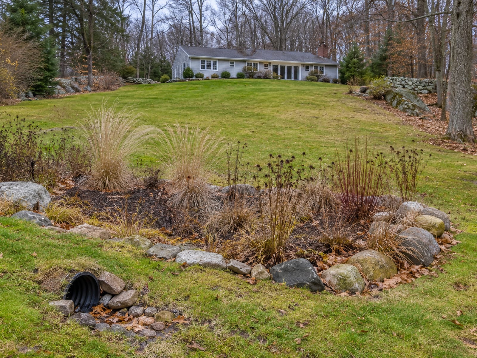 Sloped backyard with a pipe outlet emerging at the bottom of a grassy slope next to a small rain garden of native plants, with a ranch house at the top