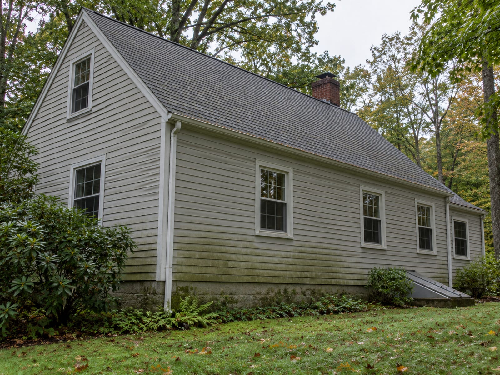 Shaded north side of a Cape style house with damp-looking siding and moss at the base, surrounded by tall trees