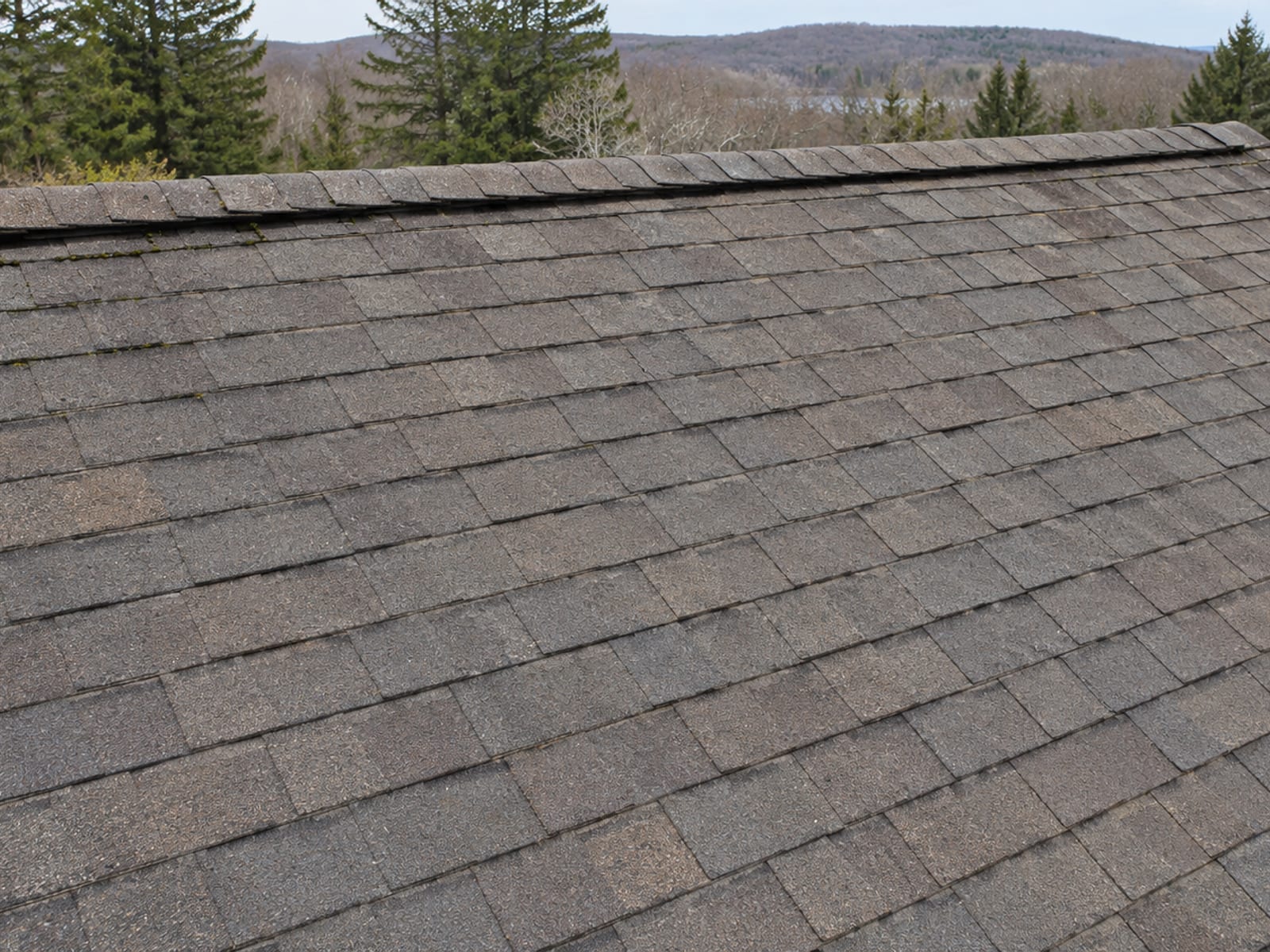 Aerial style view of an older asphalt shingle roof with faded color, light granule loss and moss along a shaded edge