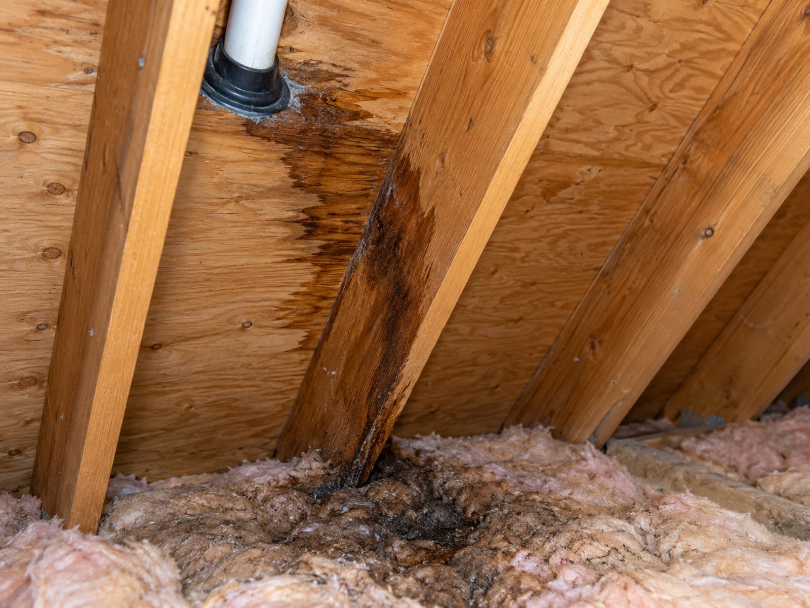 Attic roof deck underside with a dark water trail running along a rafter and damp insulation below a plumbing vent pipe