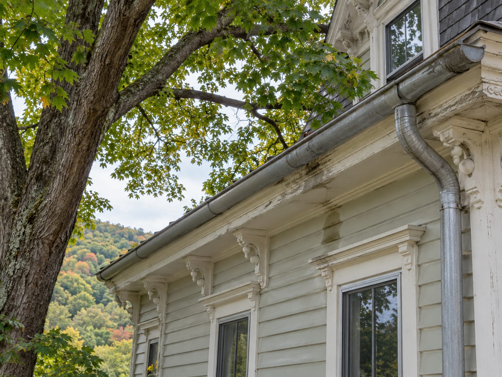 Línea antigua de canaletas semicirculares en una casa victoriana con una bajante, fascia envejecida, manchas debajo de una sección y un arce grande cerca del techo