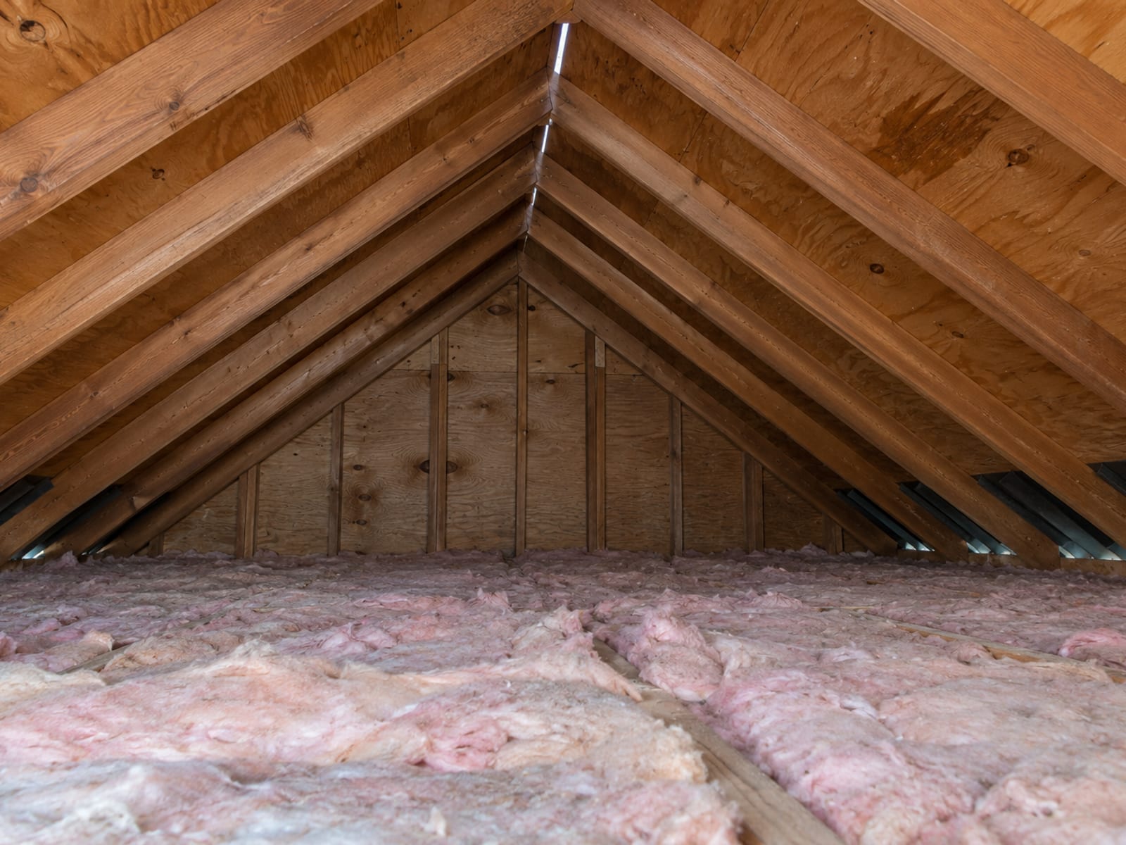 Unfinished attic with insulation between joists, roof rafters and sheathing above, a faint water stain on the underside of the roof deck and a ridge vent opening