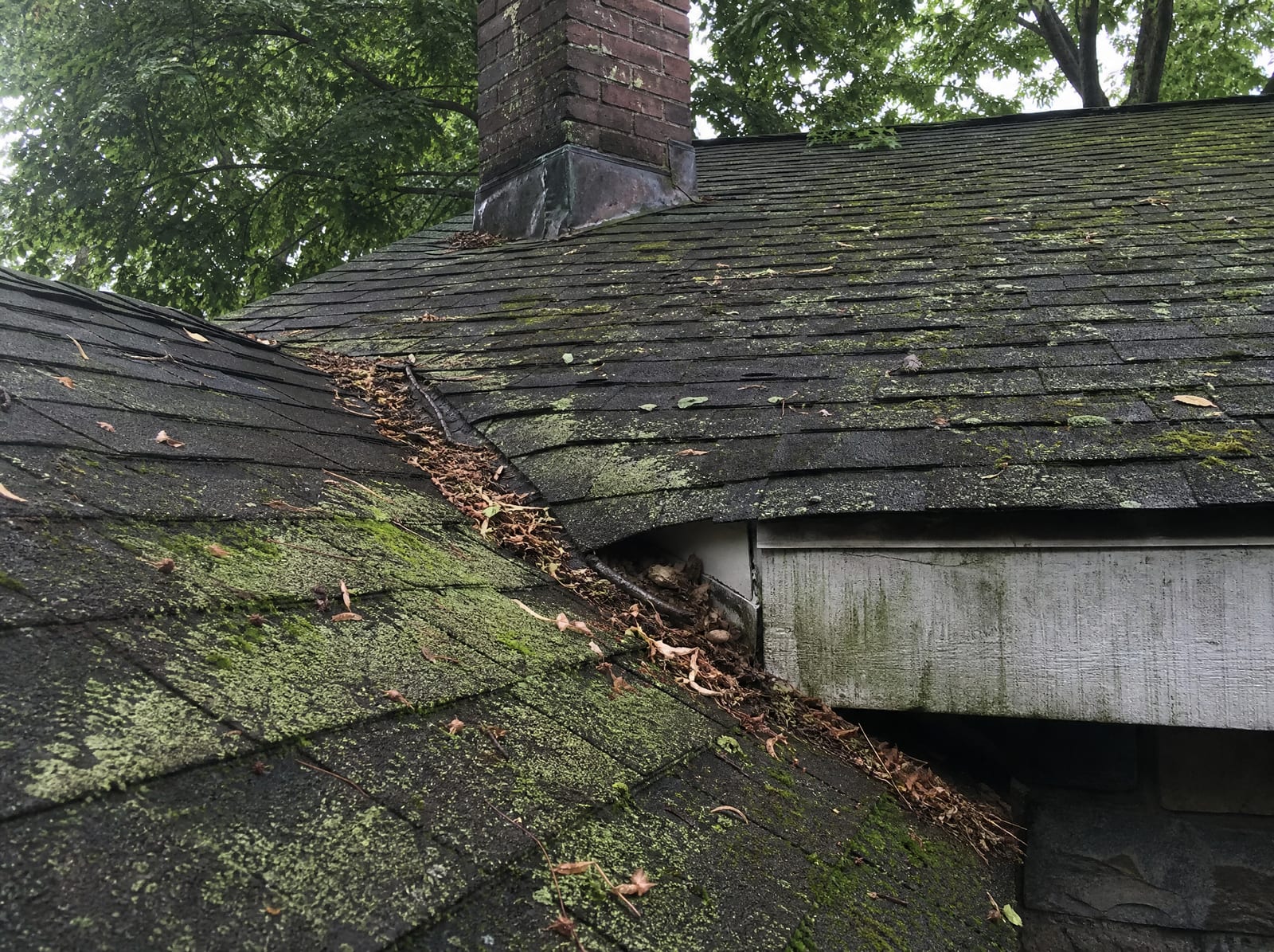 Weathered asphalt shingle roof on a wooded Brookfield, Connecticut home showing granule loss and moss on a shaded slope