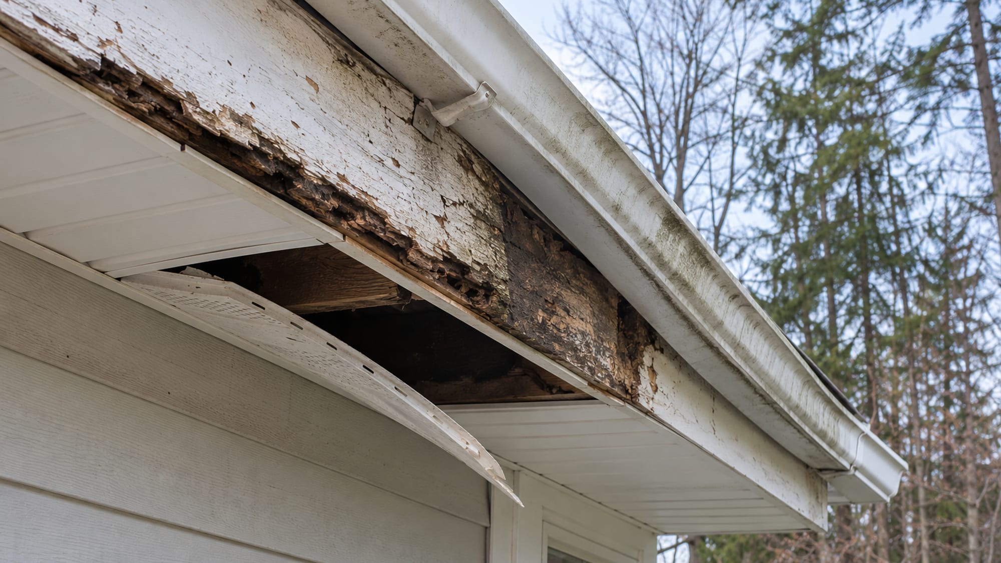 Reparación de fascia y plafón podridos en Connecticut, paso a paso