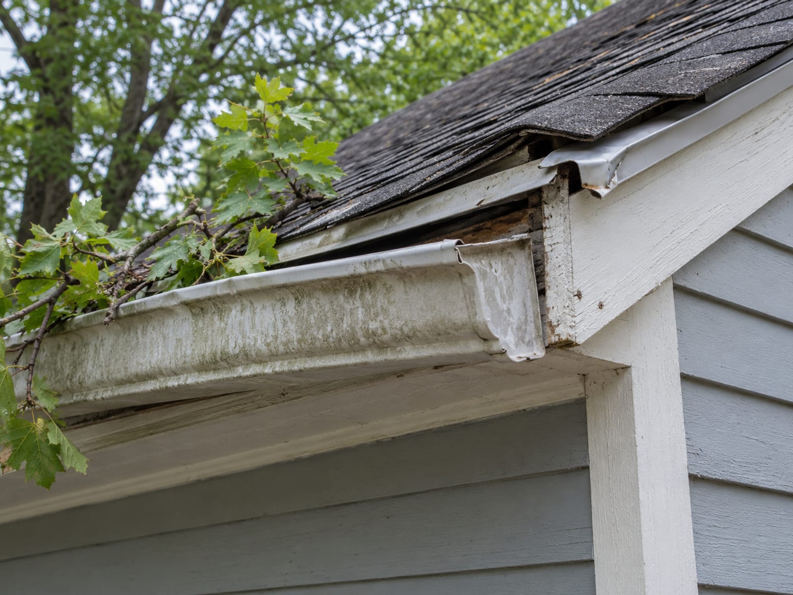 Upward view of a house corner with a gutter pulled away from the fascia, loose shingles at the roof edge and a small broken branch lodged in the gutter
