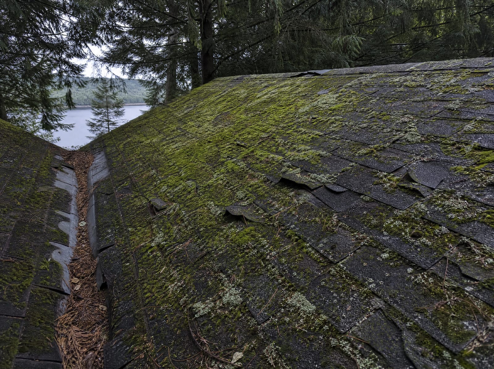 Shaded, worn asphalt shingle roof under tree cover with heavy green moss, granule loss, curling shingles, and worn valley flashing