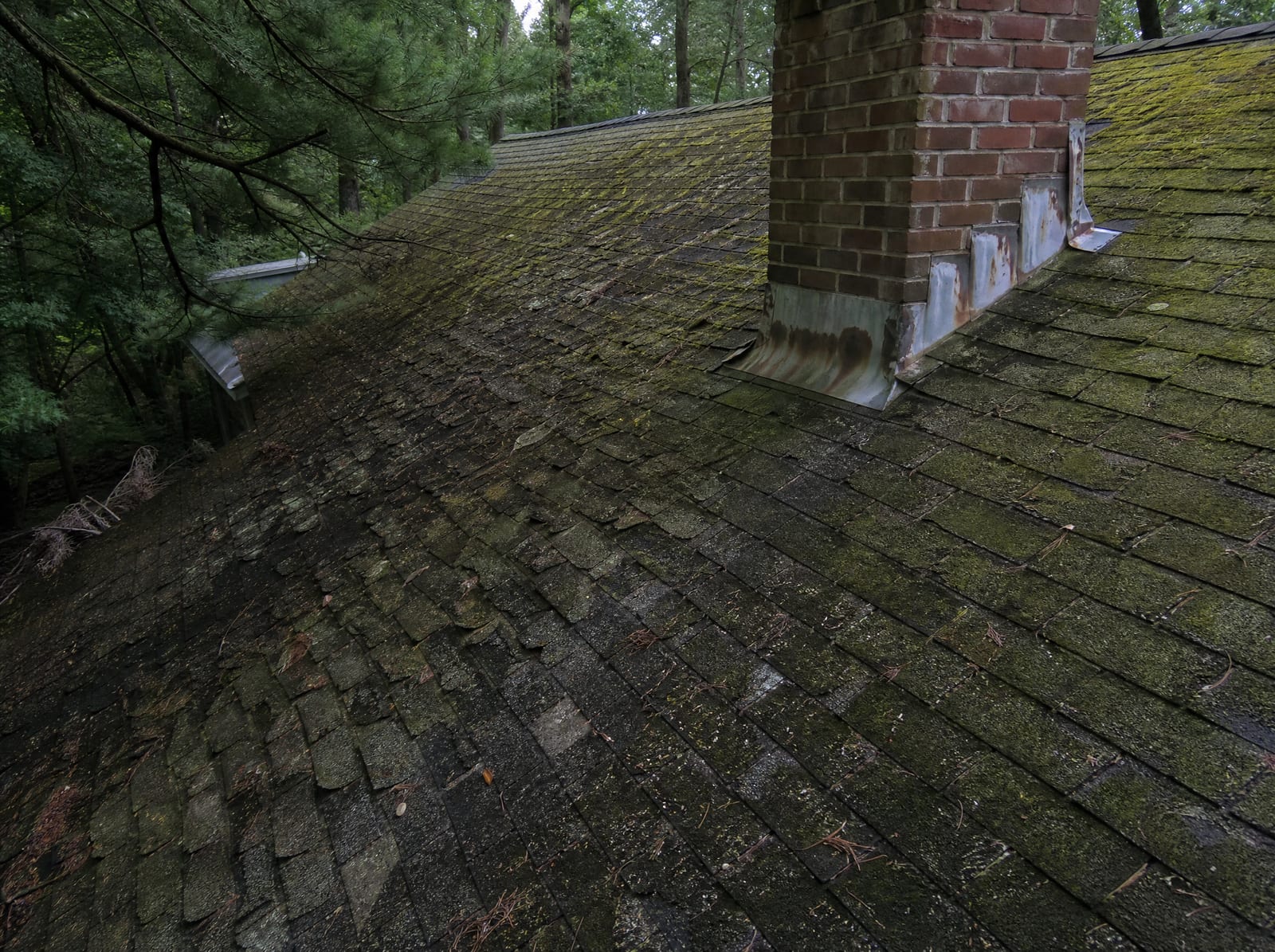Aging asphalt shingle roof on a wooded estate home with heavy moss on a shaded slope, granule loss, curling shingles, and worn flashing