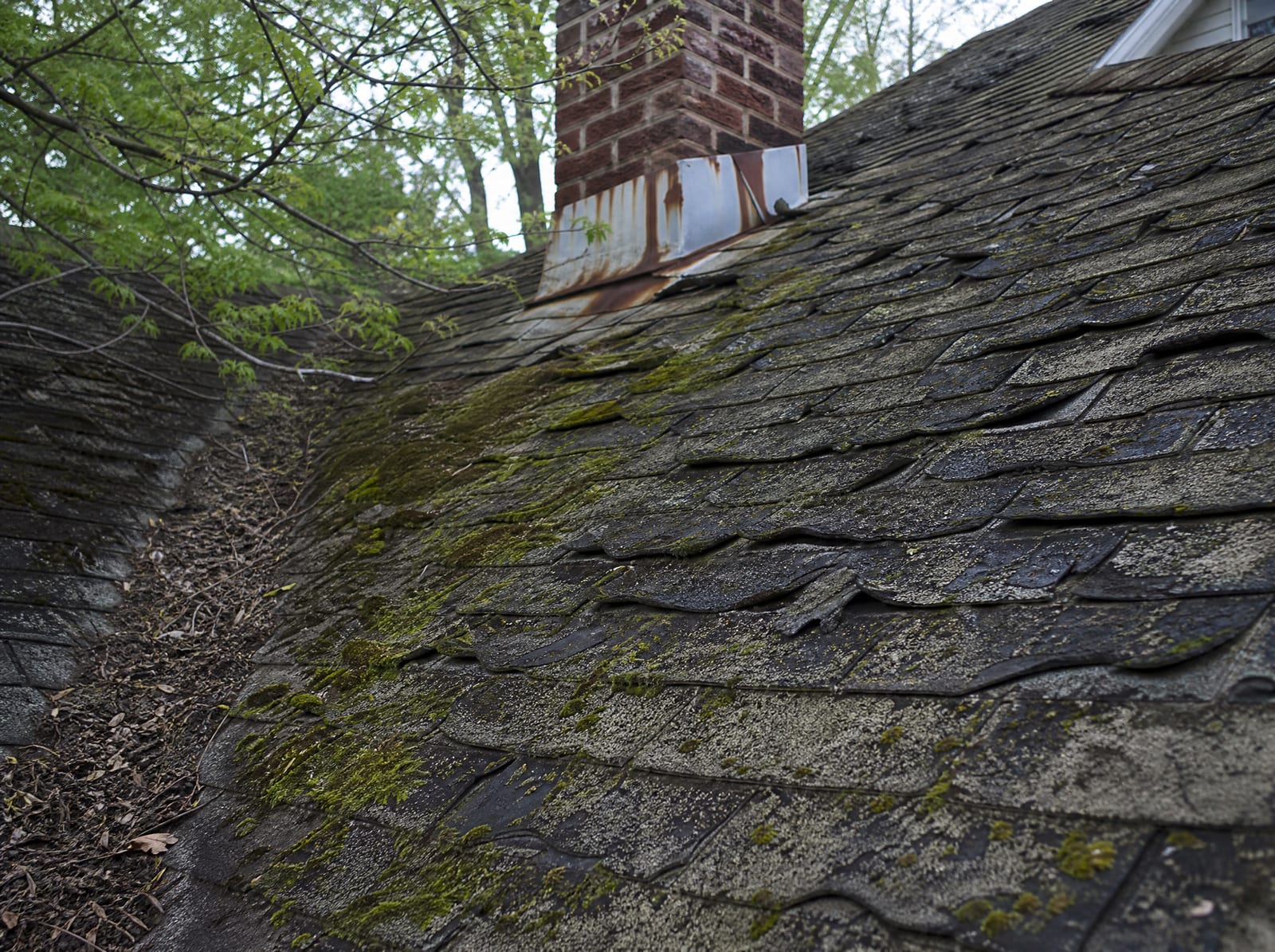 Aging asphalt shingle roof on an older New Haven home with moss on a shaded slope, granule loss, curling shingles, and rust-streaked chimney flashing