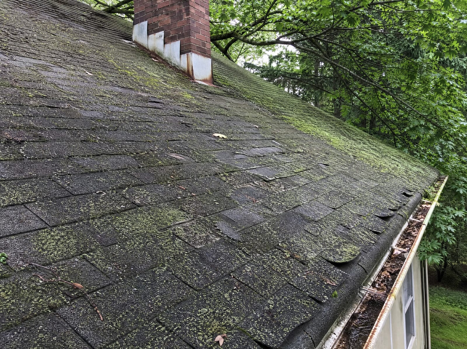 Aging asphalt shingle roof on a wooded home with moss on a shaded slope, granule loss, curling shingles, and salt-corroded flashing