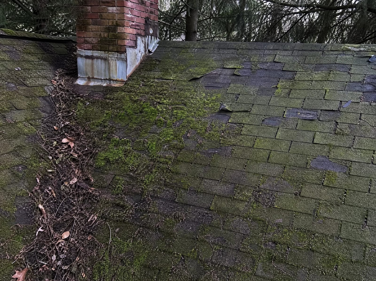 Aging asphalt shingle roof on a wooded Wilton home with heavy moss on a shaded slope, granule loss, and worn flashing