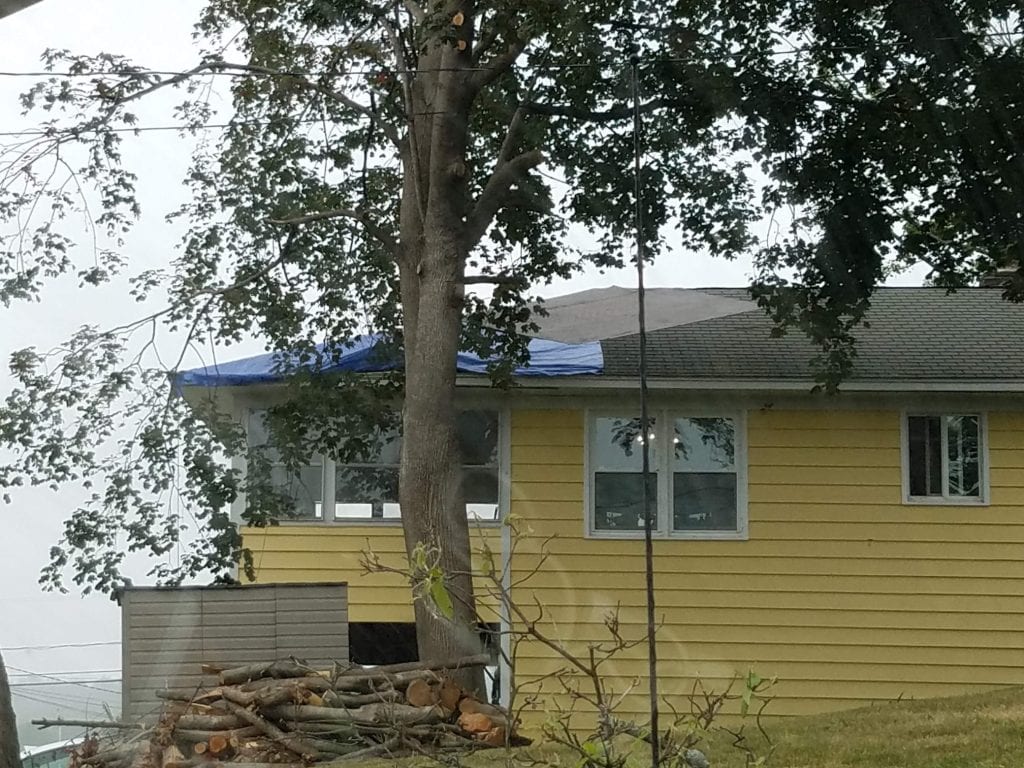 Yellow two-story house with blue tarp covering a section of the roof, a large tree in the foreground, cut logs and branches piled on the ground below