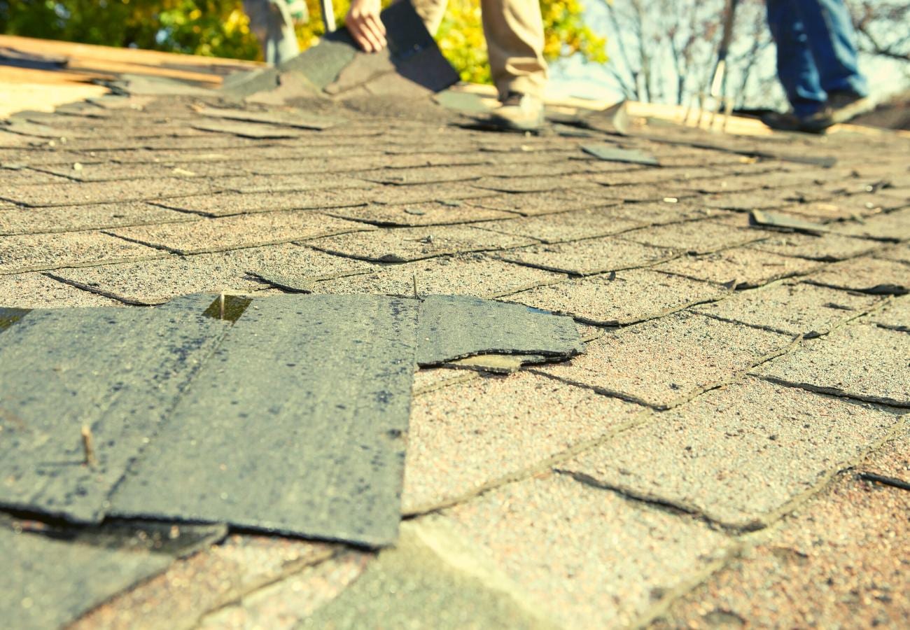 Close-up of cracked and lifted asphalt roof shingles with exposed nails and underlayment while two workers in boots remove damaged shingles in the background
