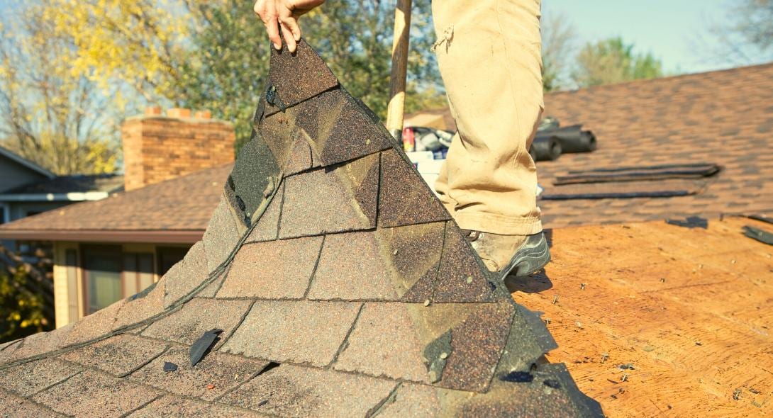 Roofing contractor standing on a partially stripped residential roof, pulling up old asphalt shingles by hand with a pry bar, exposing bare plywood decking, with a neighboring house and trees visible in the background