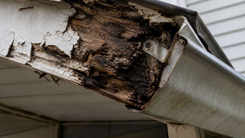 The Problem With Unprotected Gutters