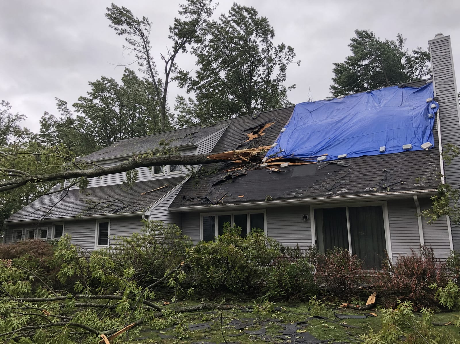 Wind-damaged asphalt shingle roof on a wooded home with a large fallen tree limb, torn shingles, and a section covered by a secured blue tarp under a windy gray sky