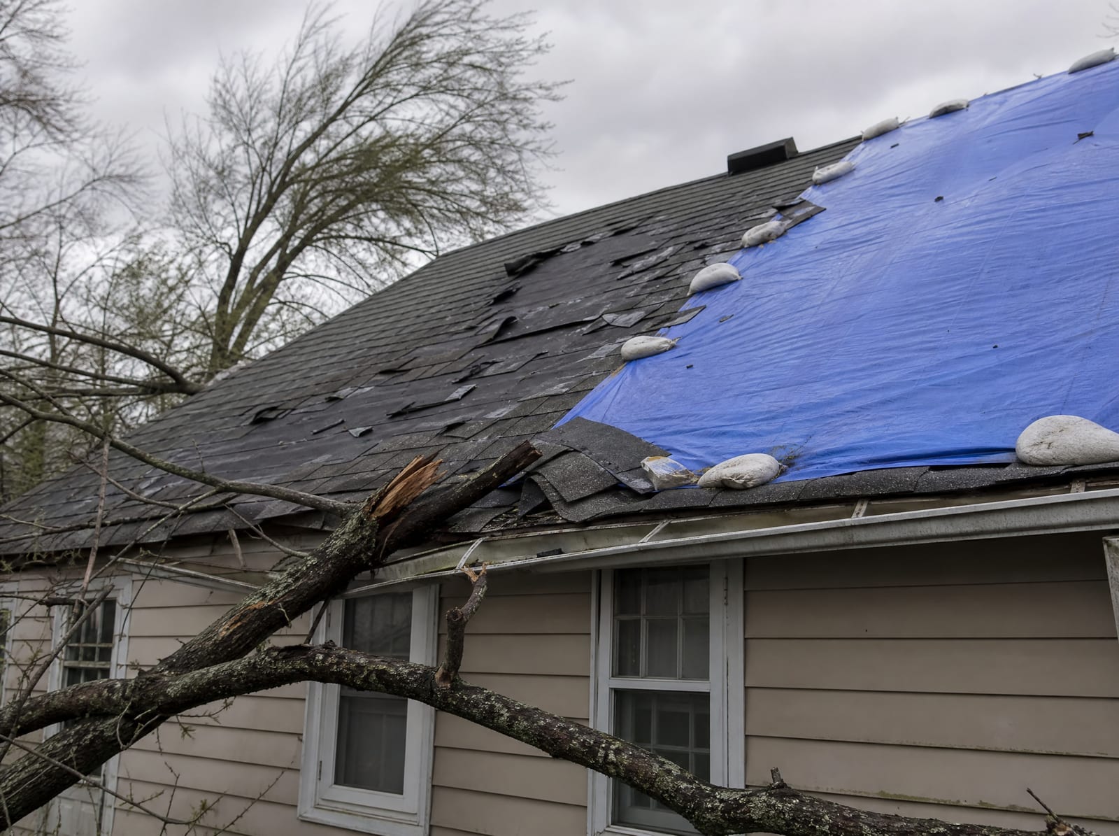 Storm-damaged asphalt shingle roof with wind-lifted and torn shingles, a fallen tree limb, and a section covered by a secured blue tarp under an overcast sky