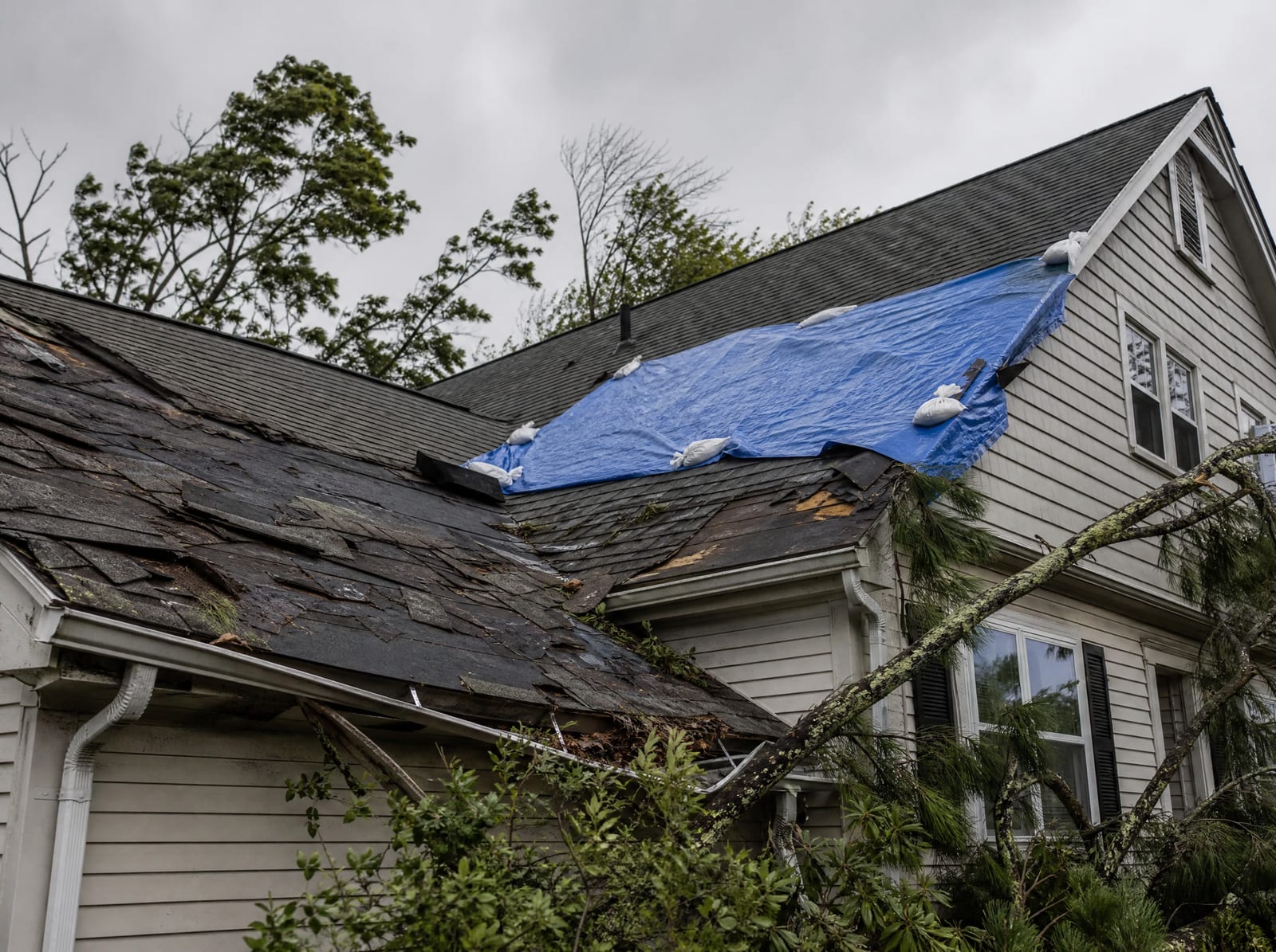 Coastal storm-damaged asphalt shingle roof with wind-torn shingles, a fallen limb, and a section covered by a secured blue tarp