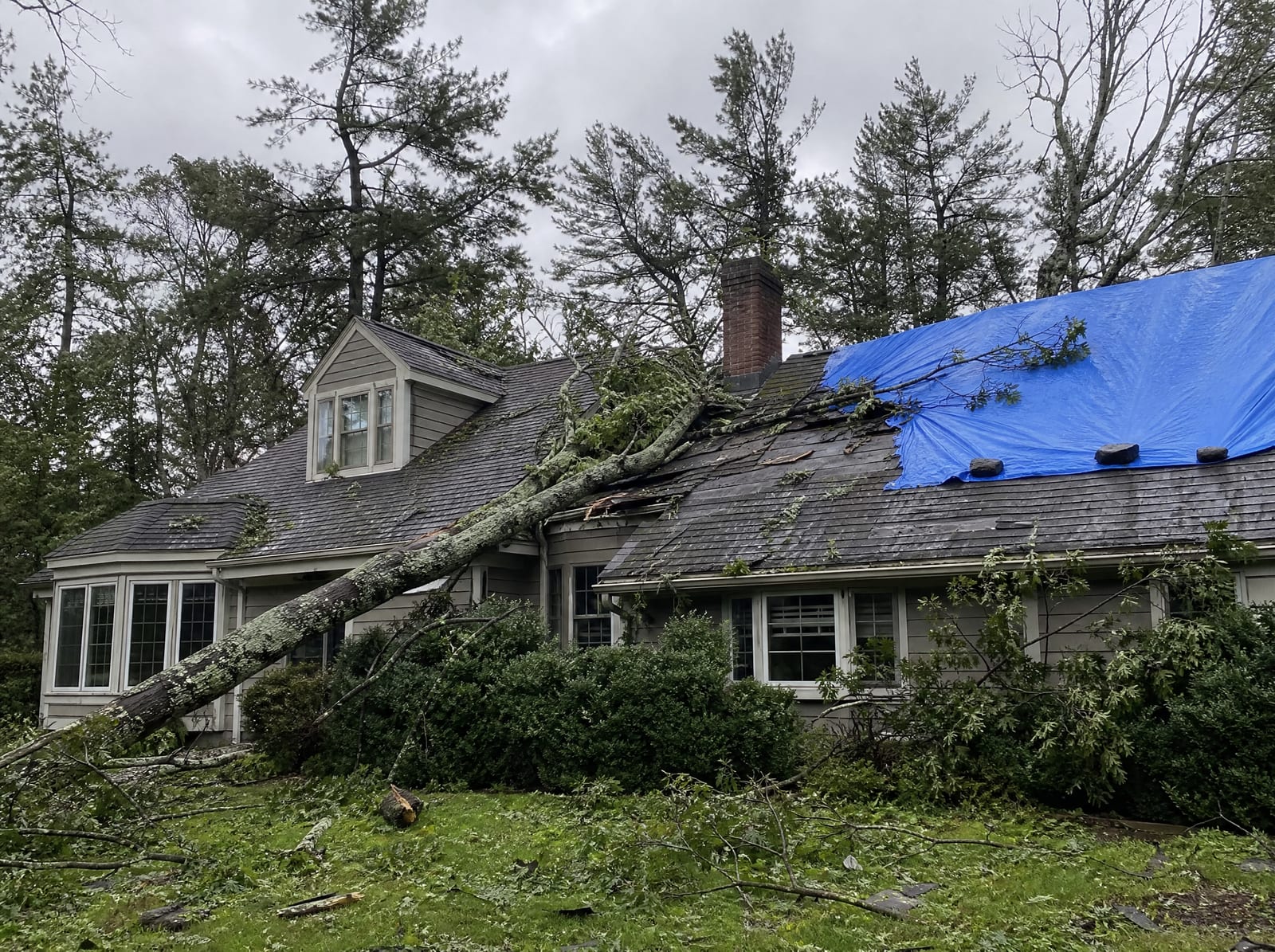 Storm-damaged asphalt shingle roof on a wooded estate home with a large fallen tree limb, torn shingles, and a secured blue tarp