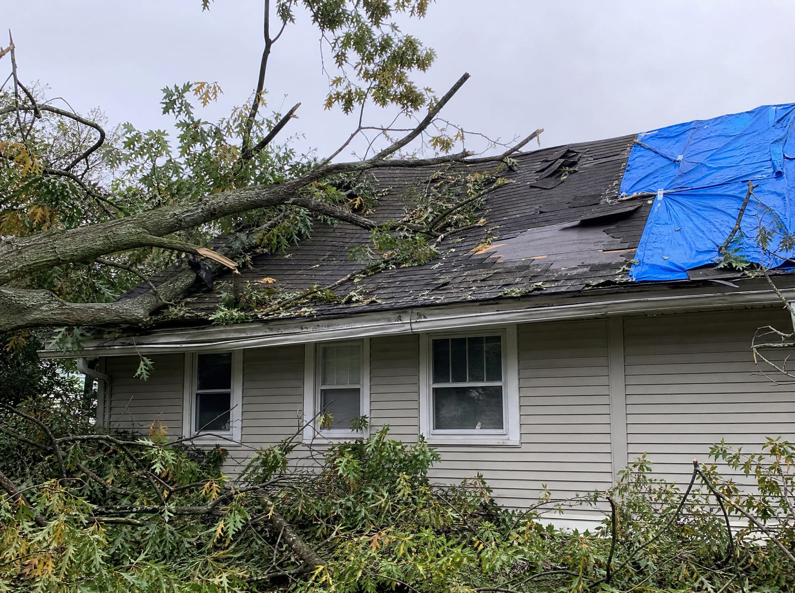 Storm-damaged roof on an older Meriden home with a fallen tree limb, wind-torn shingles, and a secured blue emergency tarp