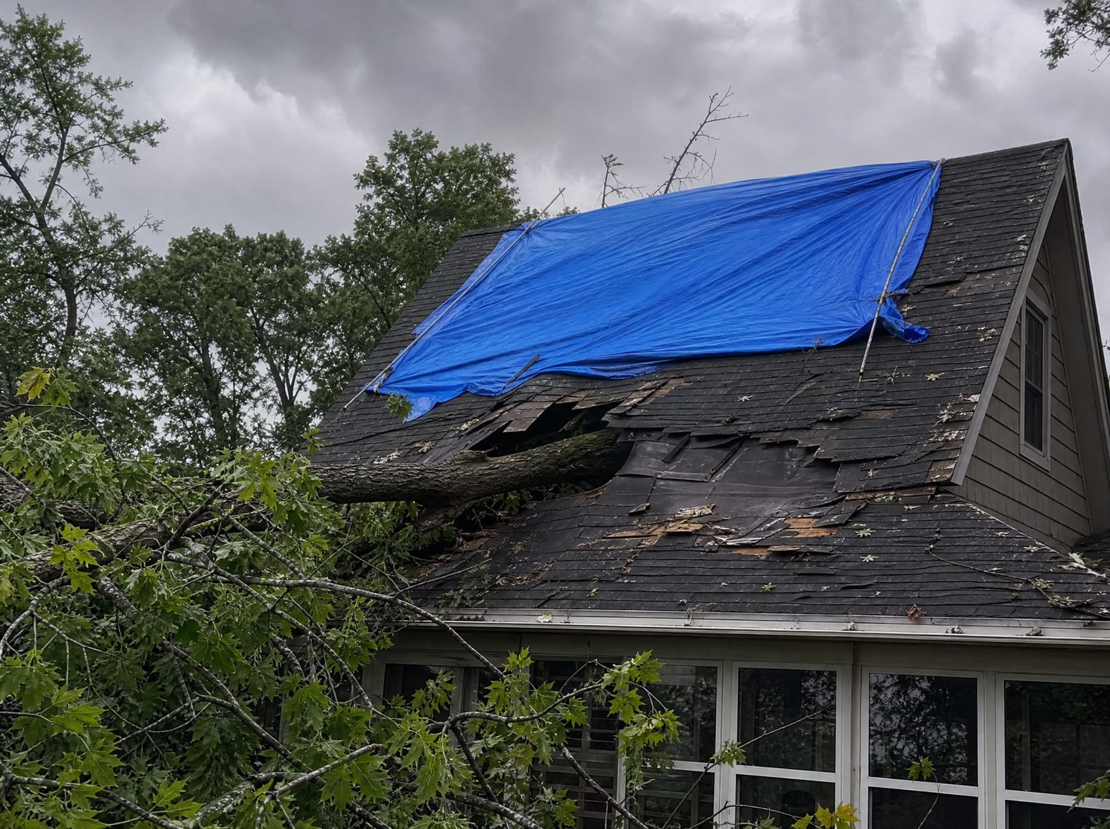 Storm-damaged roof on a wooded Middlebury home with a fallen tree limb, wind-torn shingles, and a secured blue emergency tarp