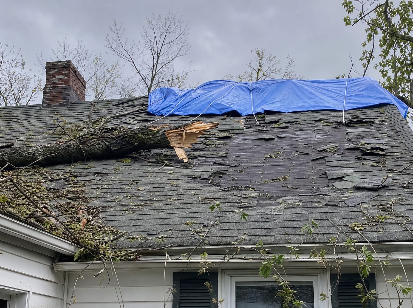 Storm-damaged roof on an older New Haven home with a fallen tree limb, wind-torn shingles, and a secured blue emergency tarp