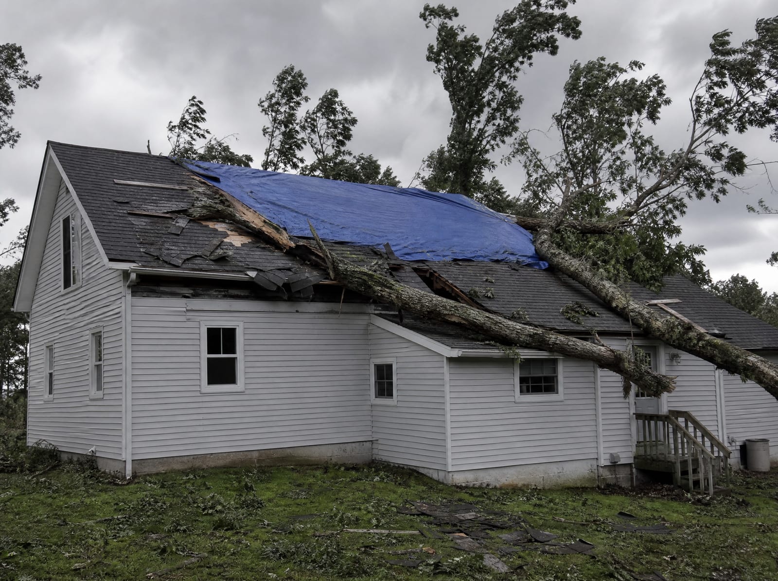 Storm-damaged asphalt shingle roof on an inland wooded farmhouse with a large fallen tree limb, torn shingles, and a secured blue tarp