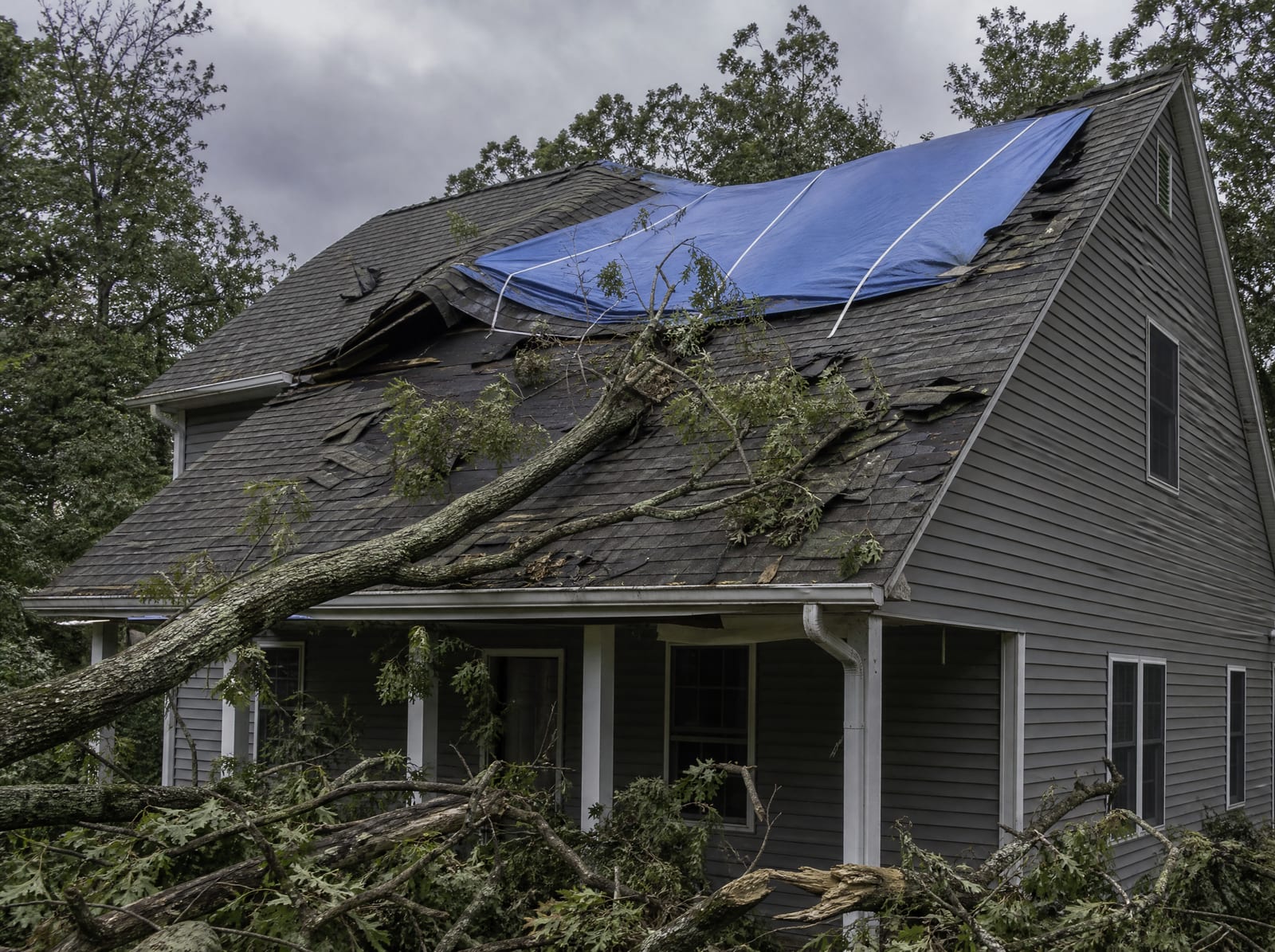 Storm-damaged roof on a wooded Newtown home with a fallen tree limb, wind-torn shingles, and a secured blue emergency tarp