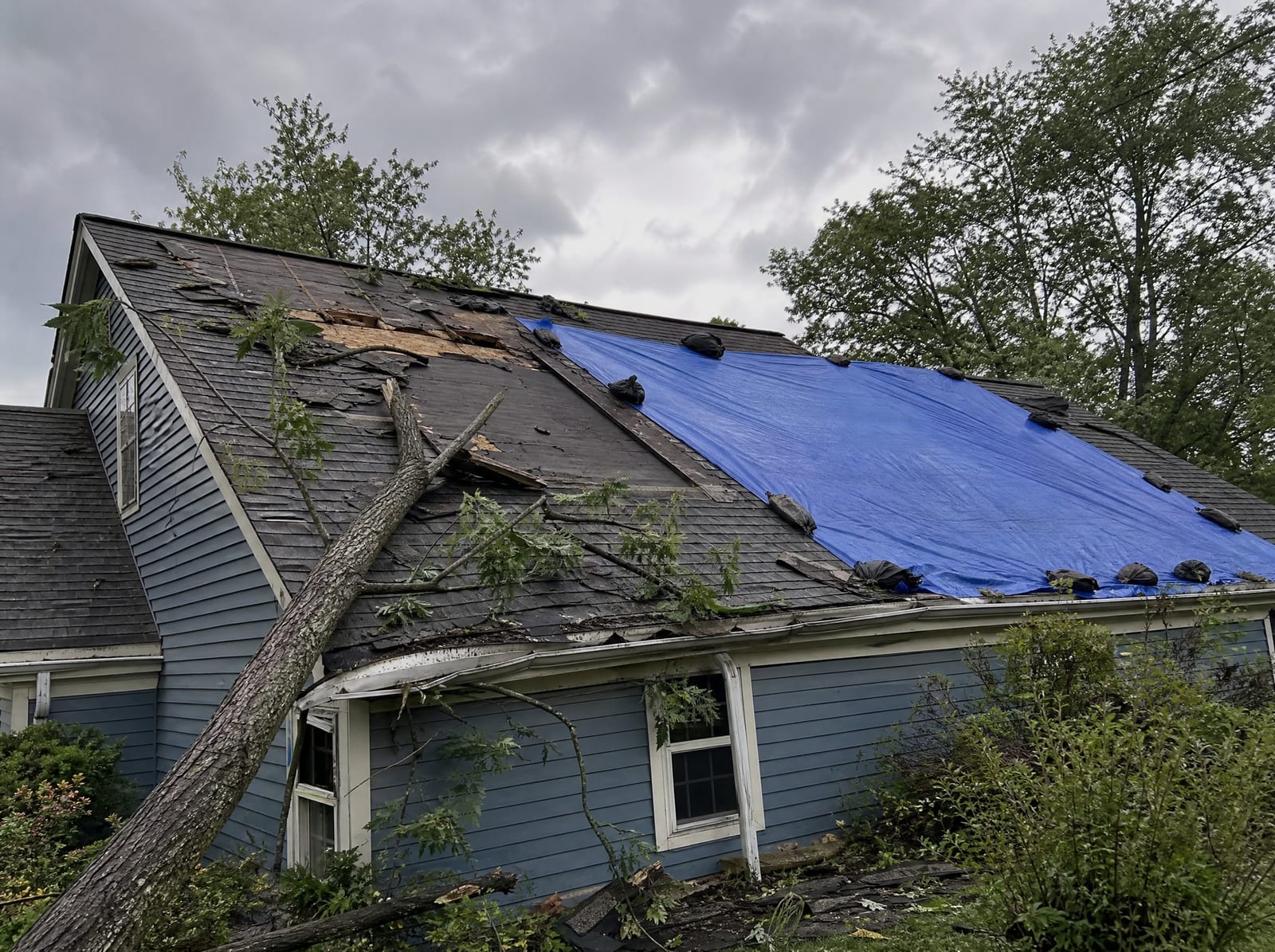 Coastal storm-damaged asphalt shingle roof with wind-torn shingles, a fallen limb, and a section covered by a secured blue tarp