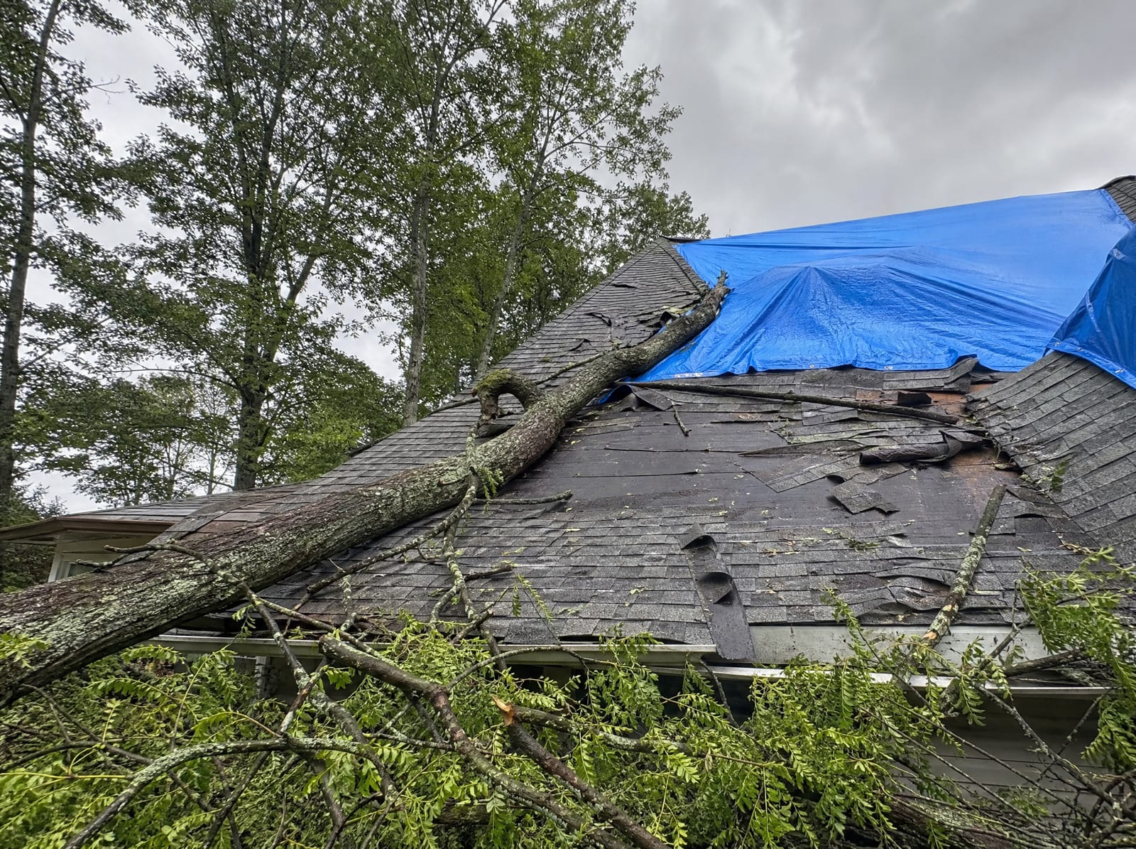 Storm-damaged roof on a wooded Oxford home with a fallen tree limb, wind-torn shingles, and a secured blue emergency tarp