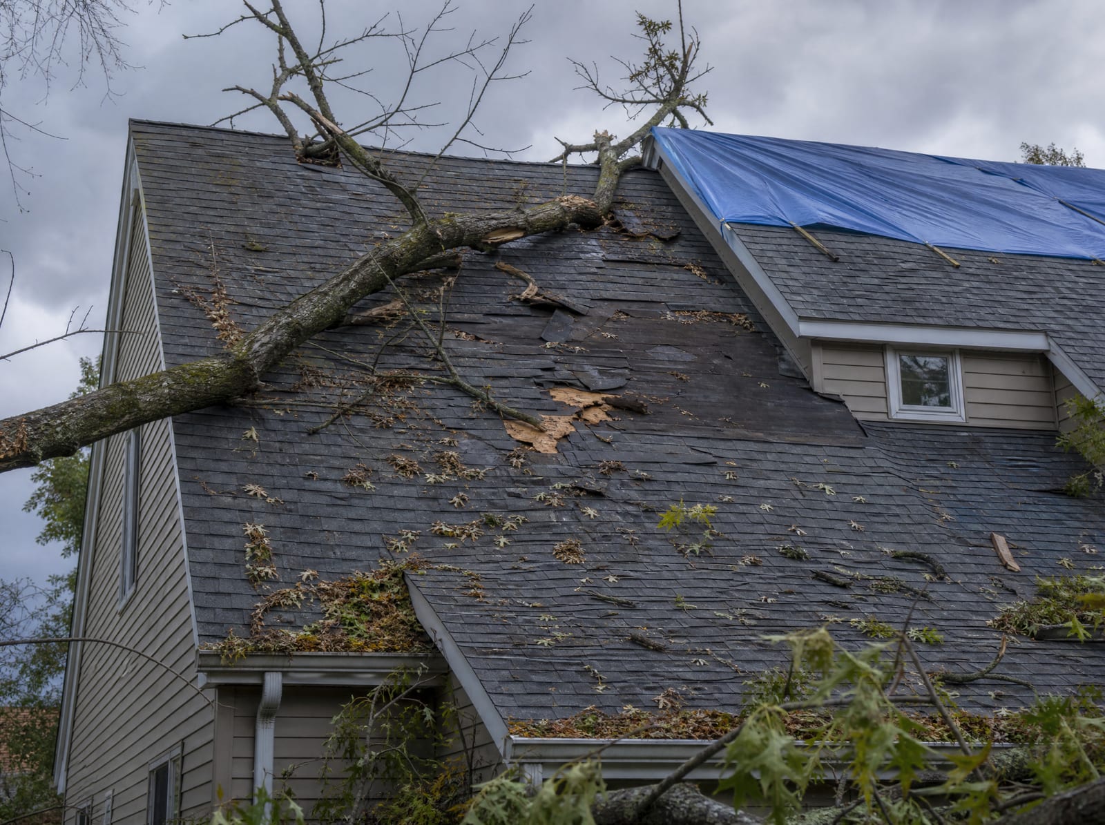 Storm-damaged roof on a wooded Southbury home with a fallen tree limb, wind-torn shingles, and a secured blue emergency tarp