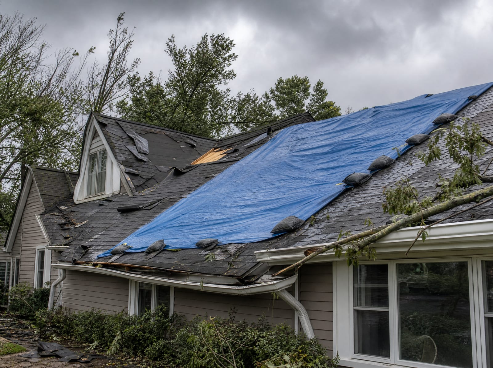 Coastal storm-damaged asphalt shingle roof with wind-torn shingles, a fallen limb, and a section covered by a secured blue tarp under a gray sky