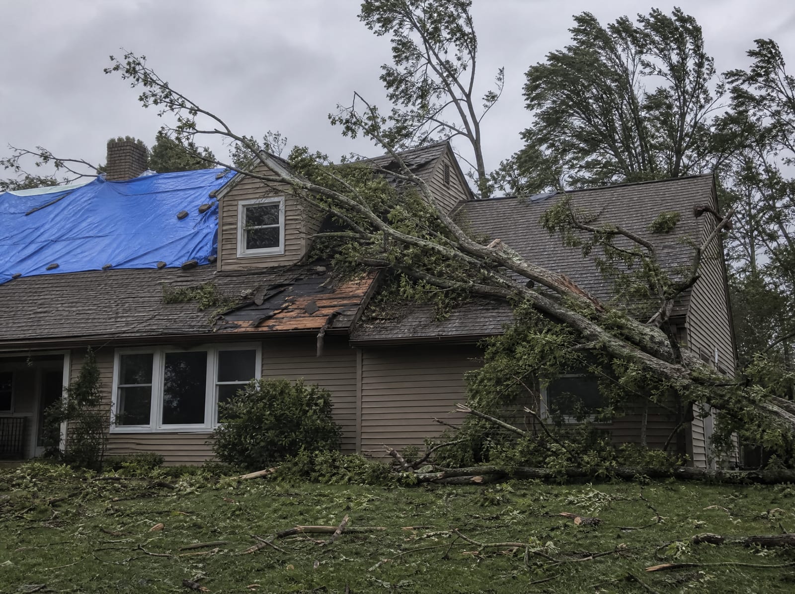 Storm-damaged roof on a wooded Torrington home with a fallen tree limb, wind-torn shingles, and a secured blue emergency tarp