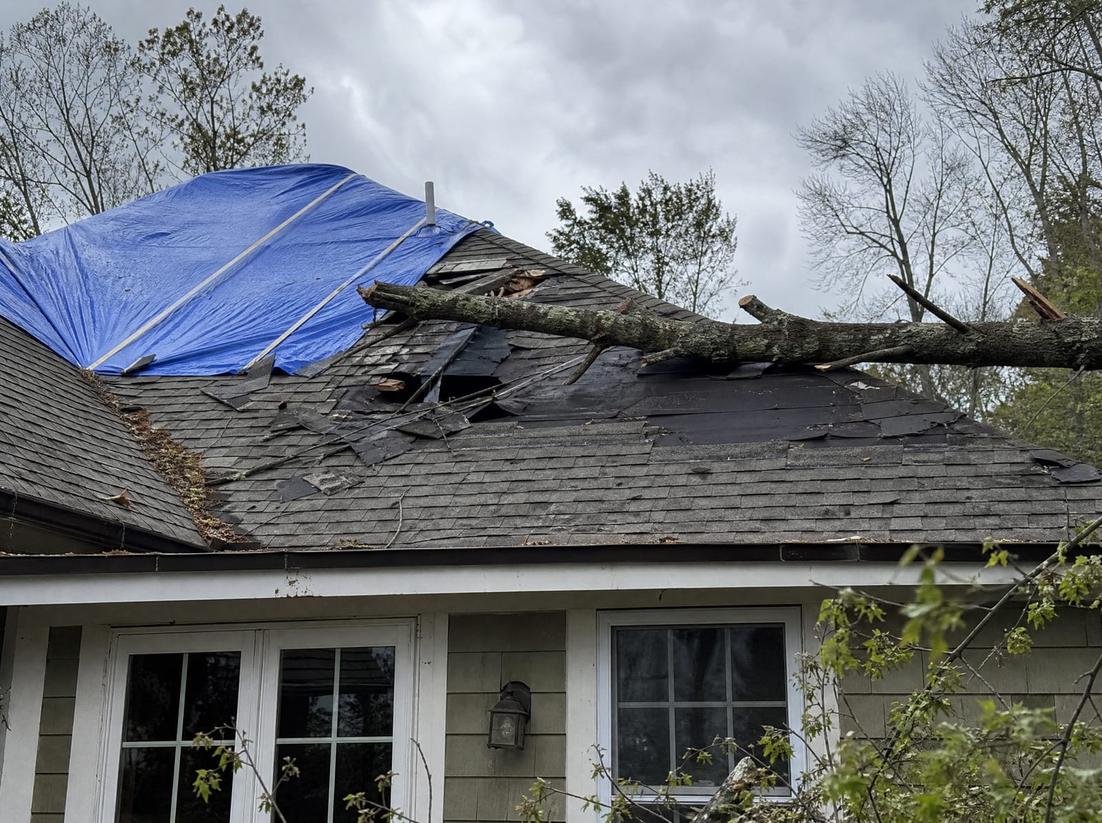 Storm-damaged roof on a wooded Wallingford home with a fallen tree limb, wind-torn shingles, and a secured blue emergency tarp
