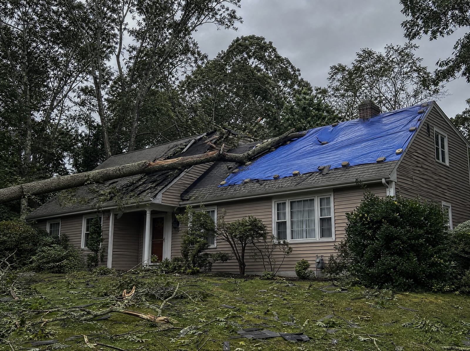 Storm-damaged roof on a wooded Watertown home with a fallen tree limb, wind-torn shingles, and a secured blue emergency tarp