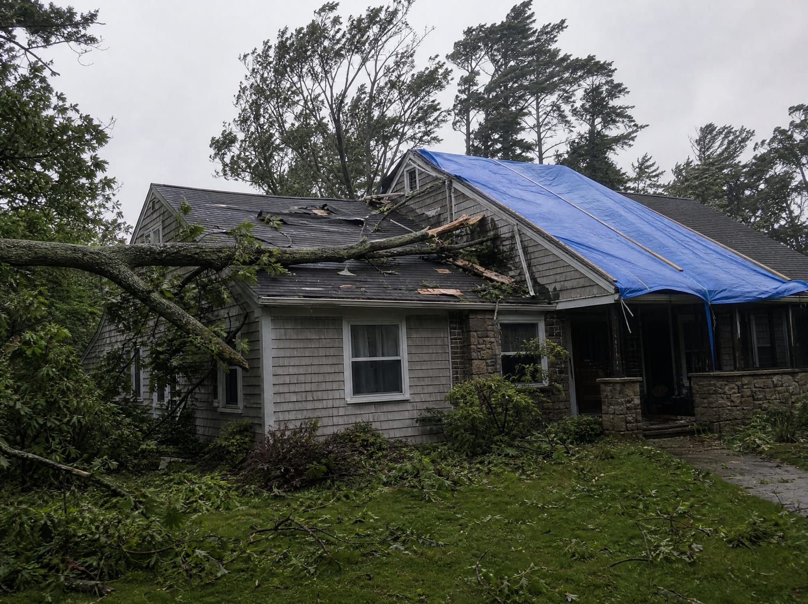Storm-damaged asphalt shingle roof on a wooded home with a fallen tree limb, torn shingles, and a section covered by a secured blue tarp