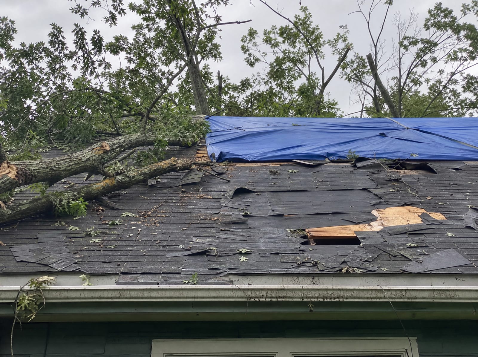 Storm-damaged roof on a wooded Woodbury home with a fallen tree limb, wind-torn shingles, and a secured blue emergency tarp