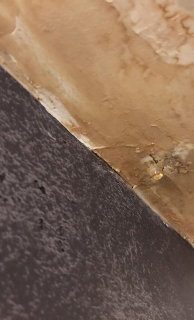 Prevent roof leak damage and call our roofing professionals today.