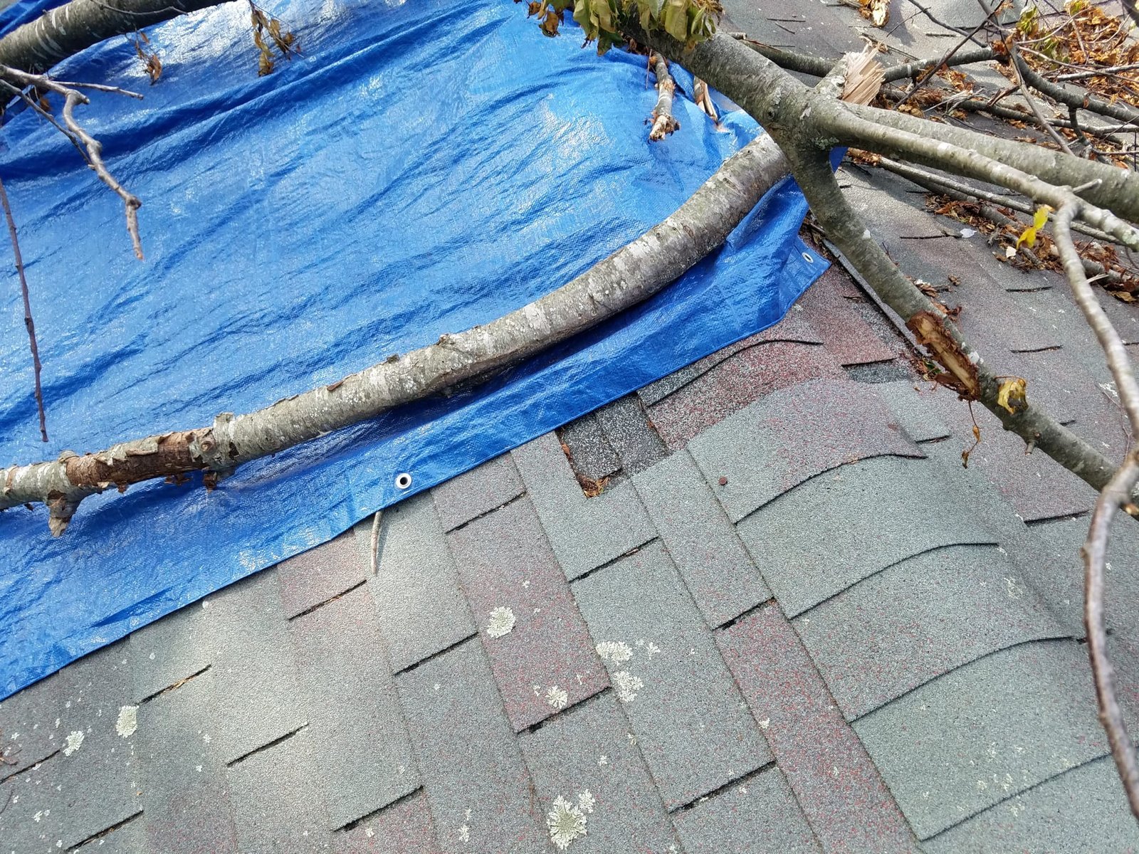 American Quality Roofing and